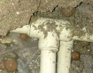 中方测漏水多少钱